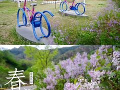 -密云玫瑰情园