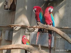 -大连森林动物园