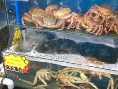 -蚝专家(北滘店)