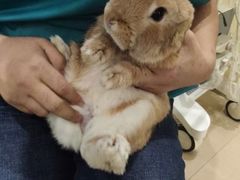 -美迦爱-牙专科·兔科·骨科诊疗中心(北苑店)