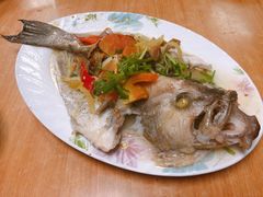 -金龙酒家