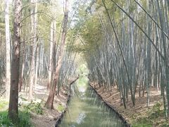-同里国家湿地公园