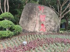 -野狸岛