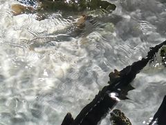 -都斛海鲜街