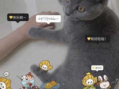 -芭比堂动物医院广州顽皮分院