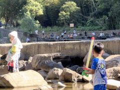 -北仑森林植物园