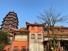 -铁山坪森林公园