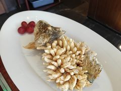 -松鹤楼·非遗·苏帮菜(融科店)
