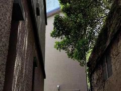 -徐家汇源景区-衡山坊