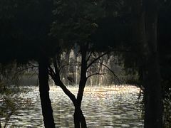 -福建鲤鱼洲酒店