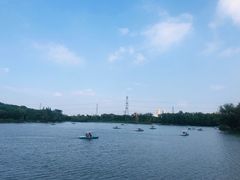 -昆山城市生态森林公园