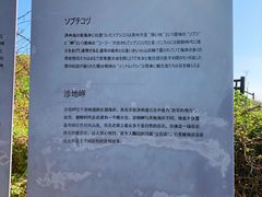 -涉地可支