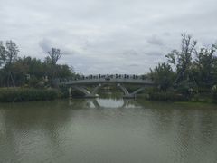 -上海长兴岛郊野公园