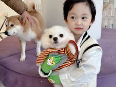 -怪兽屋·羊驼·猫咖·狗咖(俊华广场店)