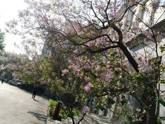 主楼-哈尔滨商业大学(南校区)