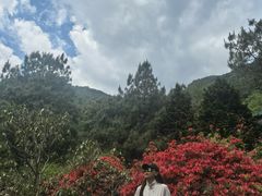 -苍山感通索道