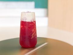 -飞行喵MR PILOT|猫舍·猫咖(静安大融城店)