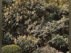 -人民公园-相亲角