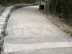 -金海湾滨江公园