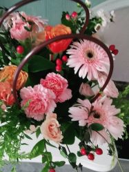 -馨果汇月子产康中心(南湖公园店)