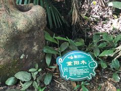 -呀诺达热带雨林