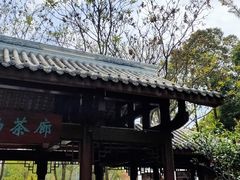 -鸡毛店·川菜(双楠店)