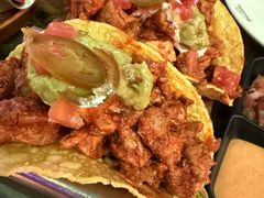 -Famous肥猫墨西哥音乐餐吧(五棵松华熙LIVE店)