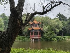-日照海滨国家森林公园