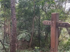 -狐尾山公园