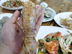 -板桥海鲜广场(文明东店)