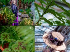 -国家植物园南园