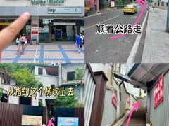 -大王油茶(二厂文创公园店)