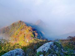 -秦岭风景区