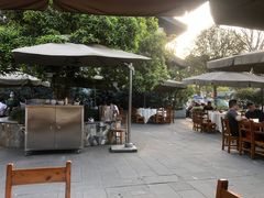 -高坎一品甲鱼庄(两河店)