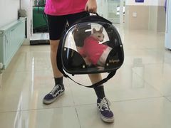 -北京观赏动物医院·24小时大型综合·猫专科·异宠专科
