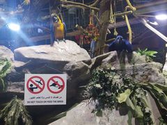 -迪拜水族馆及水下动物园