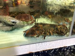 -盒马鲜生(新都心店)