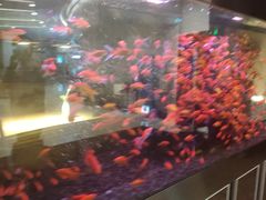 -味界·精致赣菜(招商花园城店)