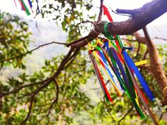 -宁波五龙潭景区