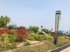 -南湖国家城市湿地公园
