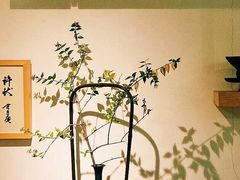 -茶是一枝花泡茶店