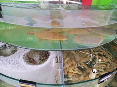 -四海鲜渔家菜(黄金海岸店)