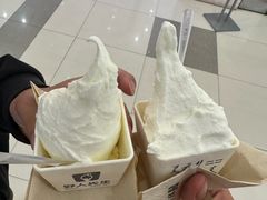 -野人先生Gelato(上海长宁龙之梦店)