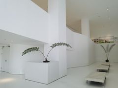 -罗红摄影艺术馆