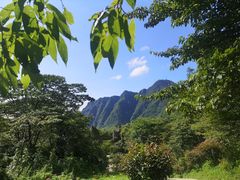 -山王坪喀斯特国家生态公园