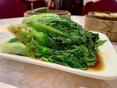 烫生菜-新东源国际酒店·新东源食坊(沙井店)