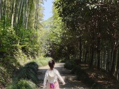 -东明山森林公园