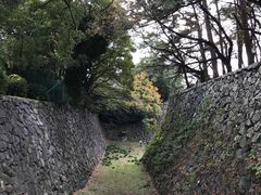 -名古屋城