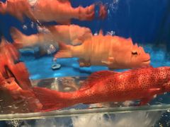 -宁波石浦大饭店(新材料城店)