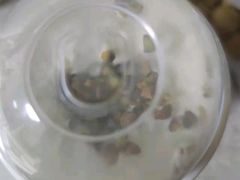 -LELECHA乐乐茶(新街口大洋店)